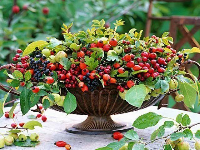 越活越好的七个迹象-图片5