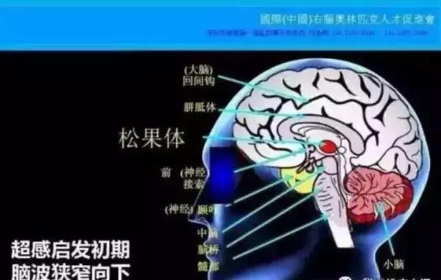 其实人人都有“天眼”【泰国佛牌】 其实人人都有“天眼”-图片4