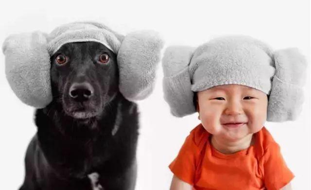 【铲屎官请注意】狗看到鬼后的反应！-图片3