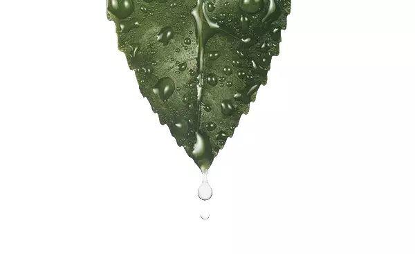 人类有灵魂吗?【科学给你的真相】【泰国佛牌】 人类有灵魂吗?【科学给你的真相】-图片5