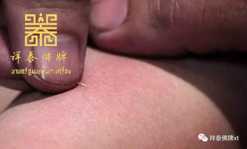 【 金针 】-图片1