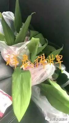 信途(三)【泰国佛牌】 信途(三)-图片1