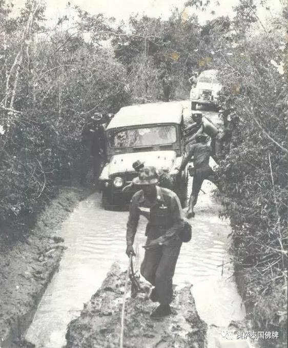 泰国九世王的皇宫世界仅有，竟全长满了“草”-图片9