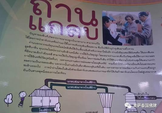 泰国九世王的皇宫世界仅有，竟全长满了“草”-图片40