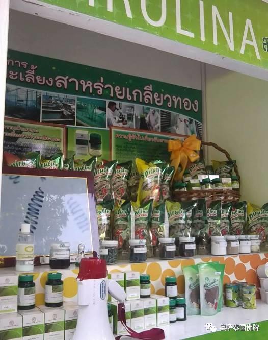 泰国九世王的皇宫世界仅有，竟全长满了“草”-图片48