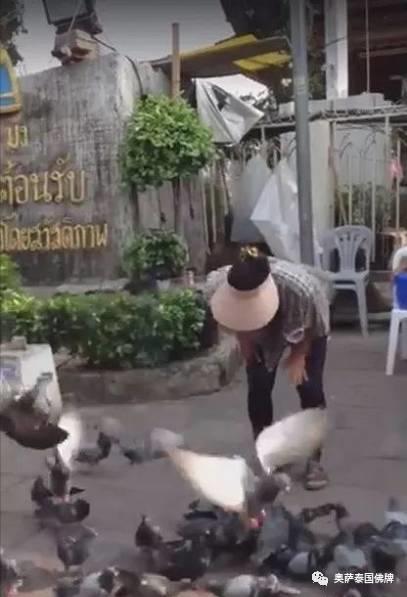 泰国寺庙附近明目张胆的上演“放生”骗局-图片2