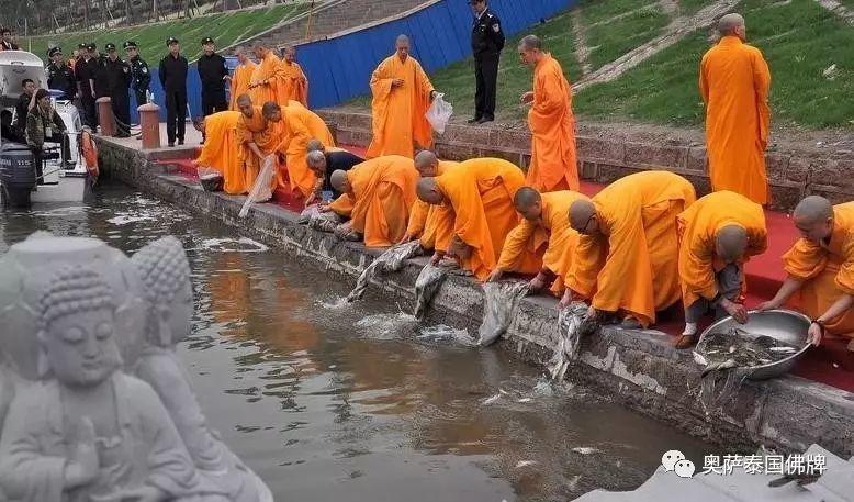 放生得福报的 五个流传佳话-图片2