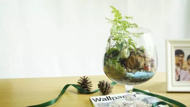 家的温度决定人生是否成功【泰国佛牌】 家的温度决定人生是否成功-图片4