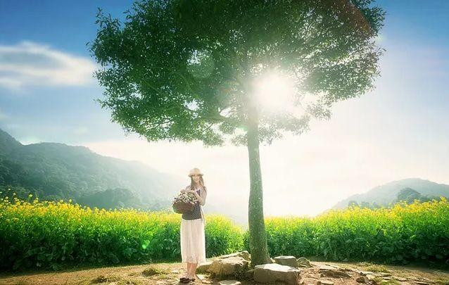 【12生肖丙辰月运势【泰国佛牌】 【12生肖丙辰月运势-图片2