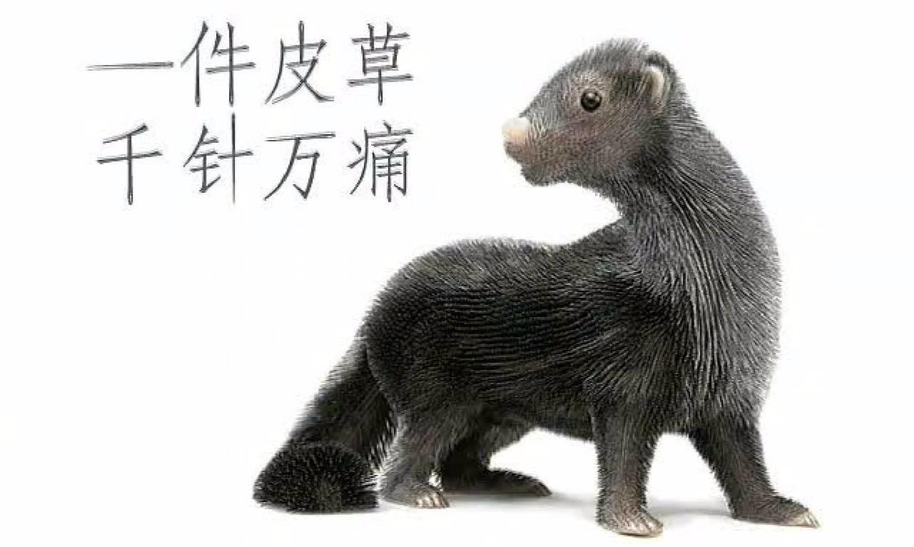 孙俪拍摄震撼视频，呼吁大家冬季抵制皮草-图片8