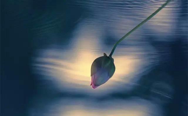 快看看！你有没有超级好命的阴骘纹啊-图片4