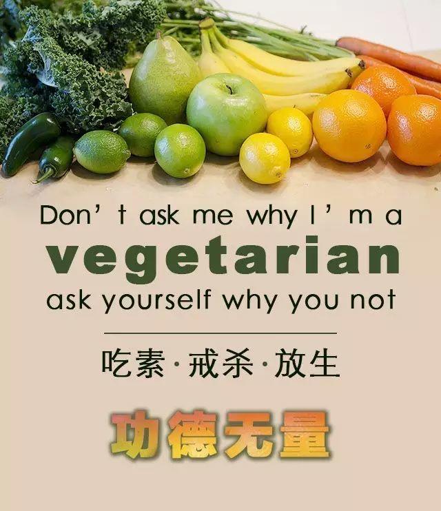 【中元节】为甚恶要放生，放生会给你带来什么！【泰国佛牌】