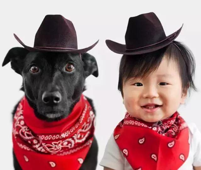 【铲屎官请注意】狗看到鬼后的反应！-图片4