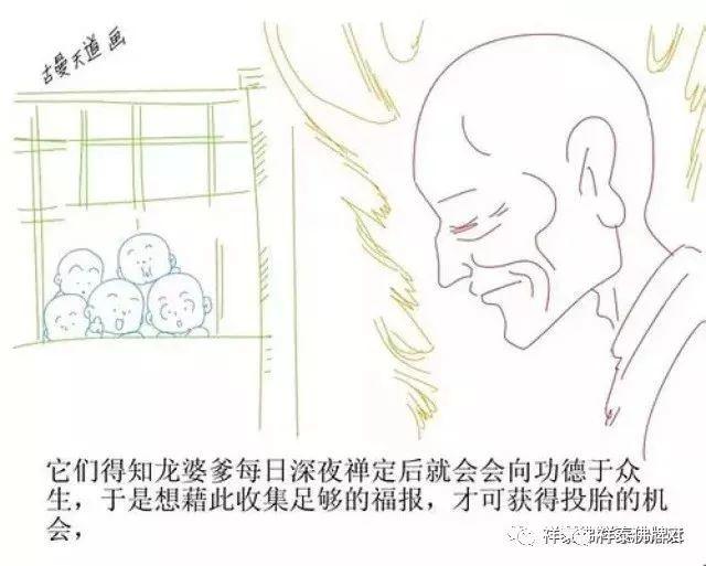 古曼——“金童子、佛童子”【泰国佛牌】 古曼——“金童子、佛童子”-图片5