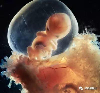 亲爱的孩子,请原谅我【泰国佛牌】 亲爱的孩子,请原谅我