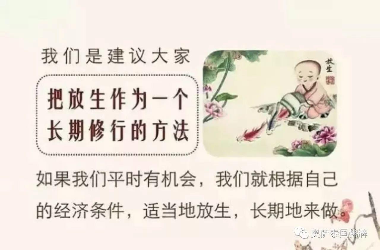 放生就是救自己，救家人，佛弟子要学会智慧地放生！-图片3