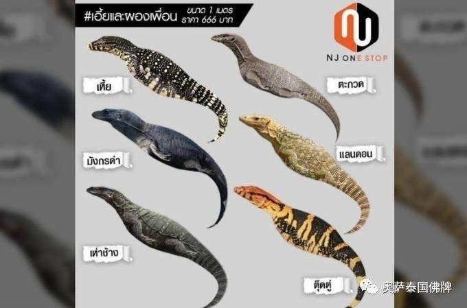 胆小真的要慎入啊!泰国年轻人抱着“尸体”睡觉!“飞头降”“裹尸布”?【泰国佛牌】 胆小真的要慎入啊!泰国年轻人抱着“尸体”睡觉!“飞头降”“裹尸布”?-图片2