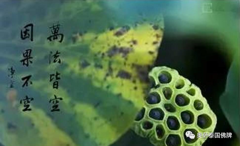 别跟因果争辩,它从来不会误会你【泰国佛牌】 别跟因果争辩,它从来不会误会你-图片2