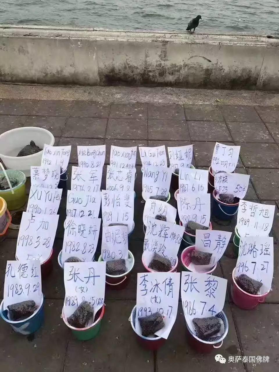 跑庙活动即将开始，抓紧时间预约起来吧！-图片5