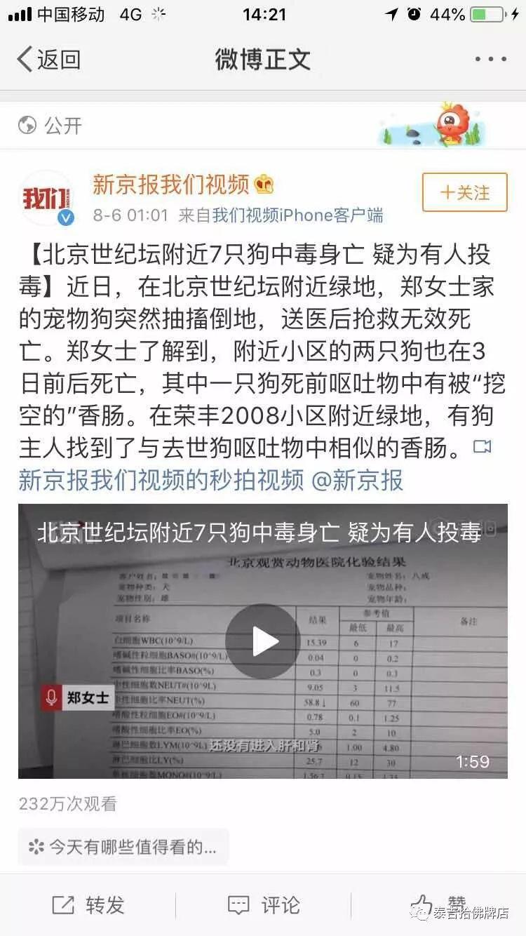 在祖国的怀抱里一条生命就这么不值钱-图片2