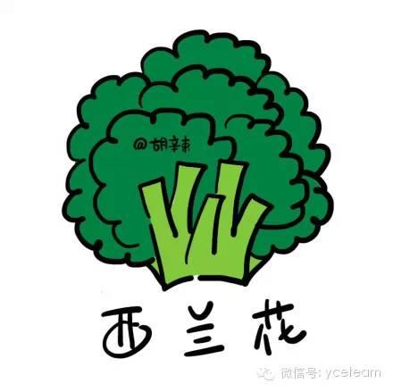 经常吃不会胖的食物 你没看错 快去购买吧，美食哦~-图片1