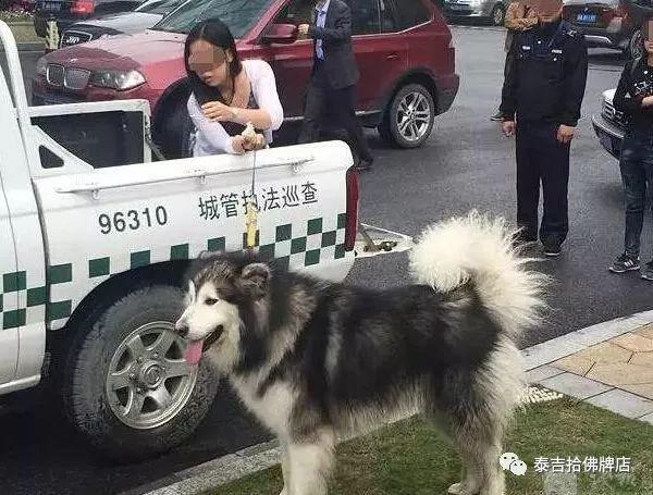 用狗朝前 不用狗朝后 四川地震了他们又来了【泰国佛牌】