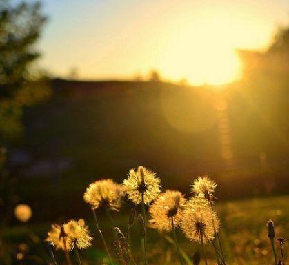 2019愿你温暖纯良-图片1