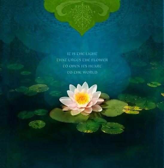 人有净气，风度自来-图片1