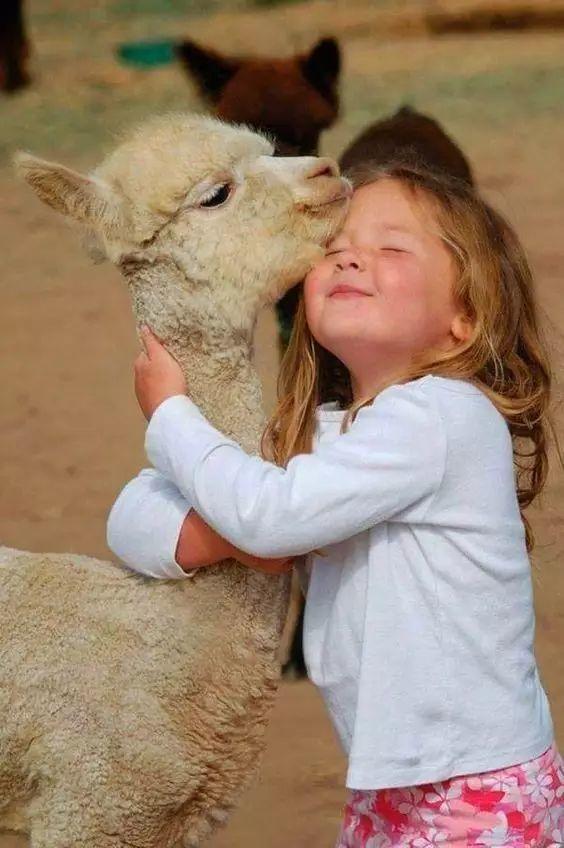 世上最温情的偷拍【泰国佛牌】 世上最温情的偷拍【泰国佛牌】