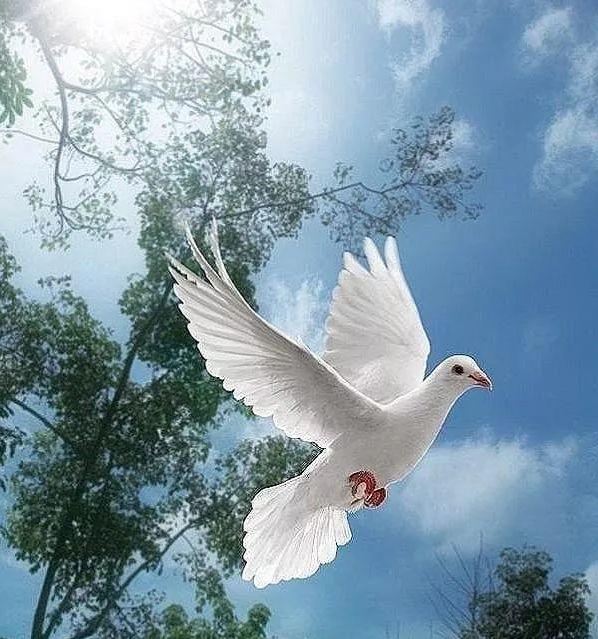 【深度好文】致所有感到孤独的人！-图片5