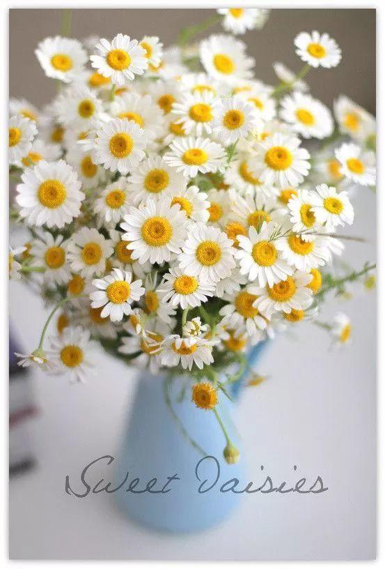 夫妻间如何旺财运【泰国佛牌】 夫妻间如何旺财运-图片2