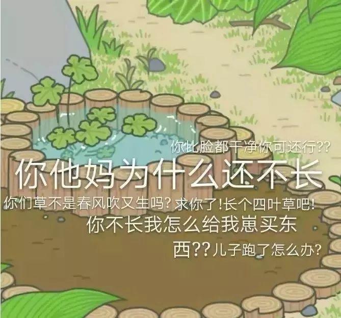 【旅行青蛙】佛系青年们的游戏【泰国佛牌】