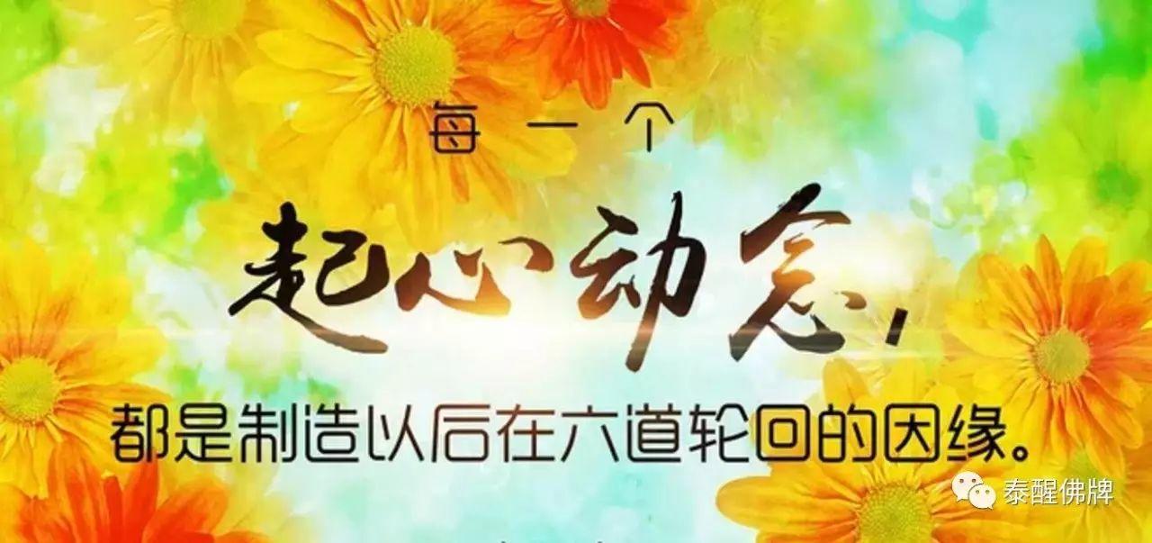 炎炎夏日,送你瞬间清凉,但愿更清醒【泰国佛牌】 炎炎夏日,送你瞬间清凉,但愿更清醒-图片5