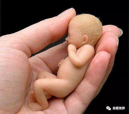 【产科医护的自述】一个被堕胎的婴灵回来告诉他妈妈,他的感受...【泰国佛牌】 【产科医护的自述】一个被堕胎的婴灵回来告诉他妈妈,他的感受…-图片2