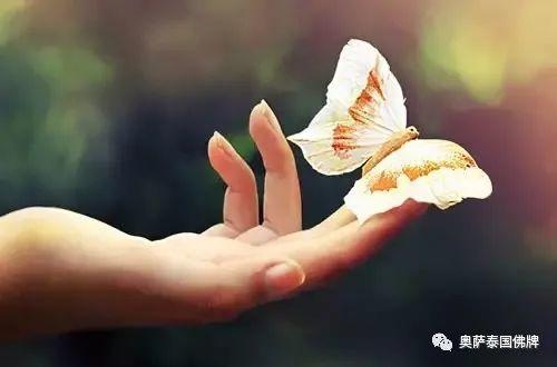 把一切看淡，心就不累了-图片4