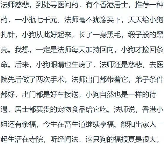 漂亮的“香港小姐”竟转世为狗,令人唏嘘!【泰国佛牌】 漂亮的“香港小姐”竟转世为狗,令人唏嘘!-图片2