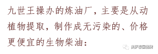 泰国九世王的皇宫世界仅有，竟全长满了“草”-图片33