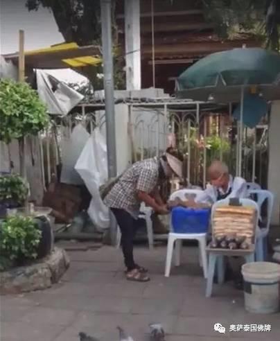 泰国寺庙附近明目张胆的上演“放生”骗局-图片5