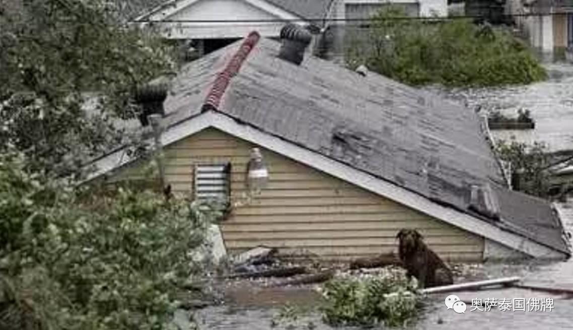 洪水中的佛光 真正的普度众生-图片1