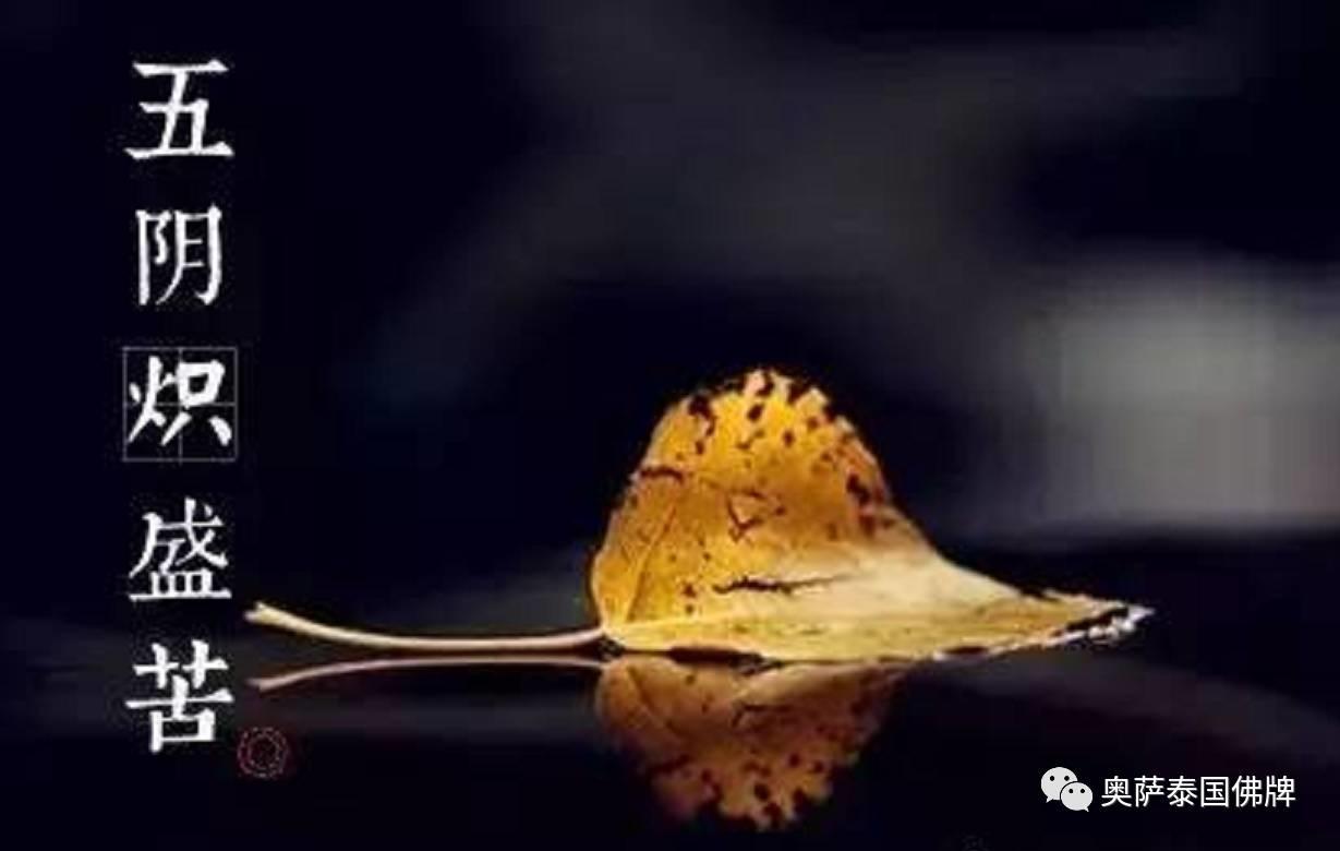 感悟禅意 佛说人生八苦-图片9