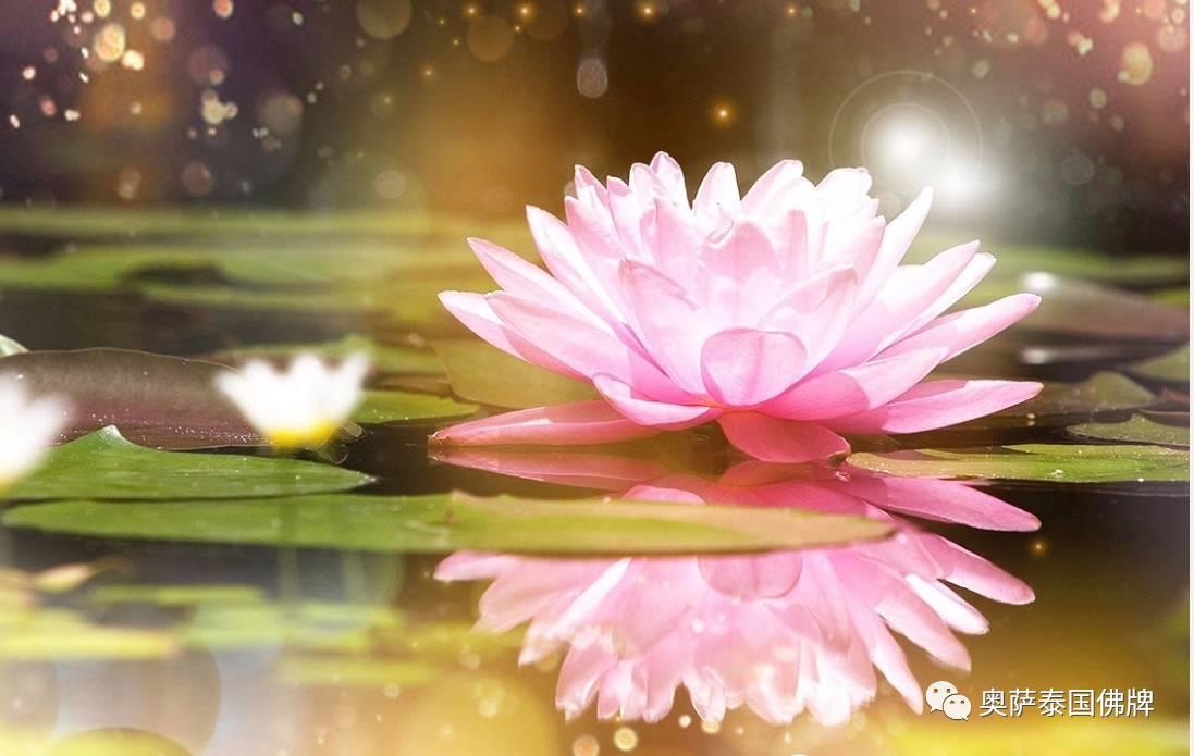 改运四法,掌控命运!【泰国佛牌】 改运四法,掌控命运!-图片4