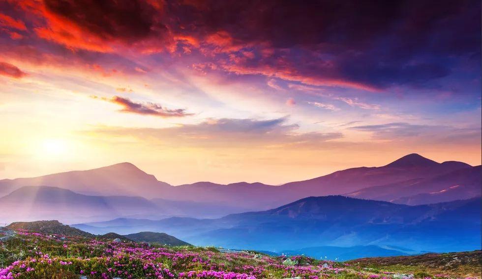 人有净气，风度自来-图片4