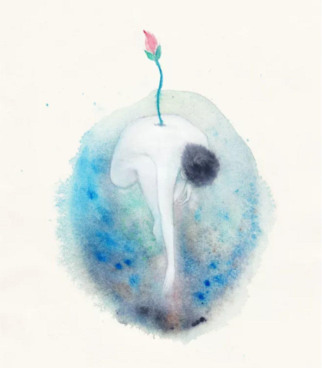 “命运可以改变”的希望-图片3