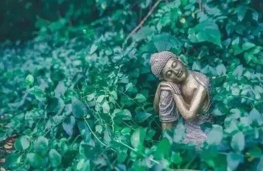 无论你遇见谁,TA都是你生命中该出现的人,绝非偶然【泰国佛牌】 无论你遇见谁,TA都是你生命中该出现的人,绝非偶然-图片2