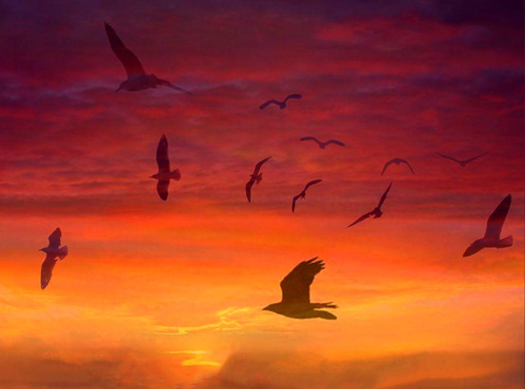 我们自身携带的人体修复力【泰国佛牌】 我们自身携带的人体修复力【泰国佛牌】