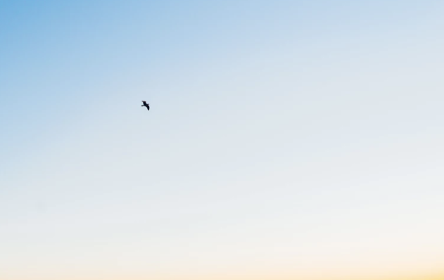 科普九大圣僧及生肖适合佩戴的佛牌【泰国佛牌】