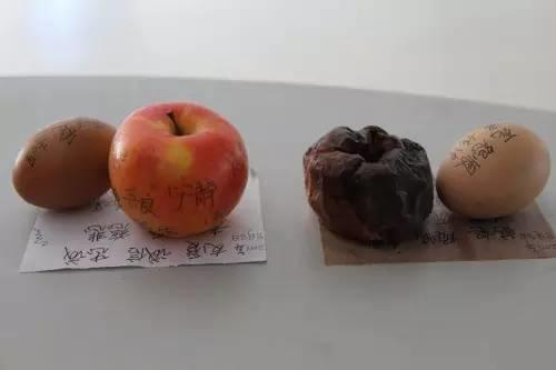 人民网发布“意念”惊人能量，再次验证佛教因果定律！不可思议……【泰国佛牌】