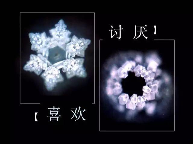 人民网发布“意念”惊人能量，再次验证佛教因果定律！不可思议……【泰国佛牌】