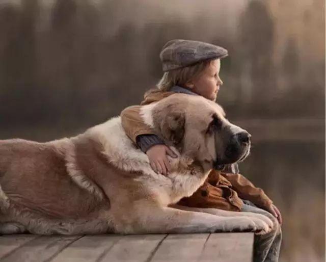 【铲屎官请注意】狗看到鬼后的反应！-图片6