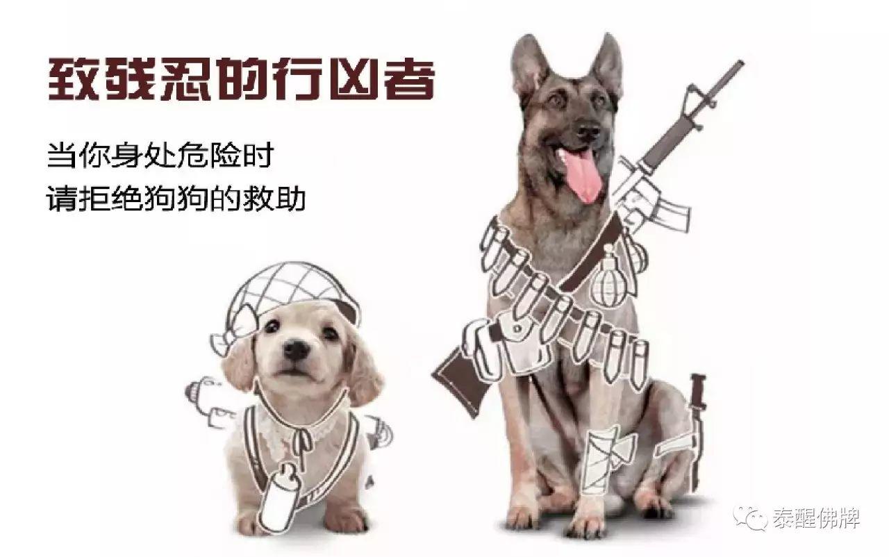 【SORRY我们说好做朋友的】祭●人类最忠诚的朋友【泰国佛牌】 【SORRY我们说好做朋友的】祭●人类最忠诚的朋友-图片9